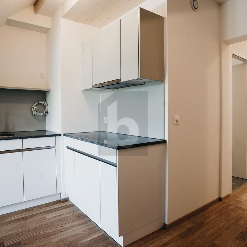 HISTORIC, ABOVE THE ROOFS WITH BALCONY - Photo 1