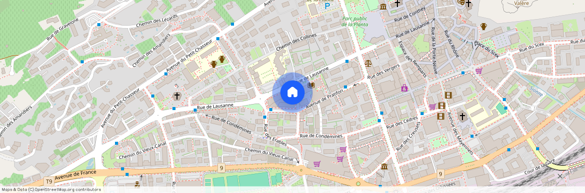 Passage de la Matze 6B, 1950 Sion