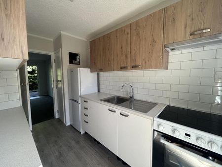Renovated & Ready to Rent - Photo 4