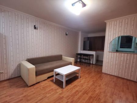 Obor lizeanu parter aleea deda - Fotografie 2