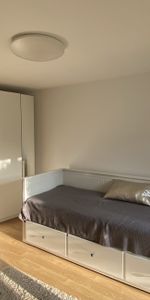 Appartement - 1 pièce - 30 m² - Strasbourg - Photo 3