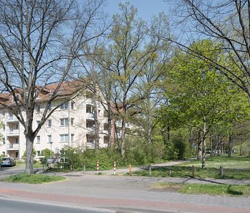 2-Zimmer-Wohnung in der Südstadt Hannover - Photo 4