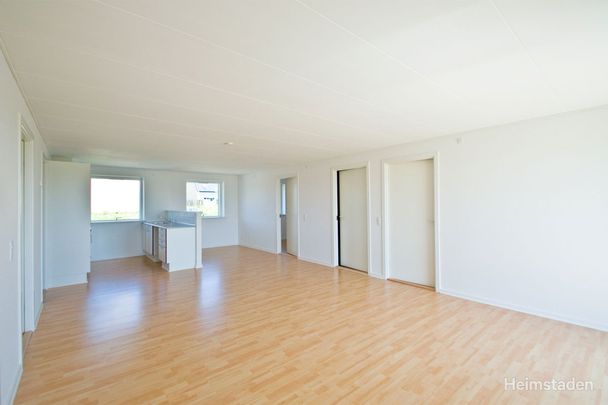 Velkommen til Dyres Kvarter - Photo 1