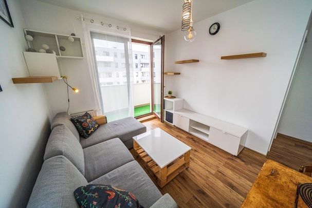 Gdańsk Jasień, Lawendowe Wzgórze - Zdjęcie 1