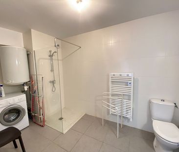 Location Appartement 1 pièce 25m² - Photo 4