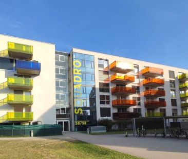 Single-Traum! Modern, ruhig und toll gelegen! - Photo 2