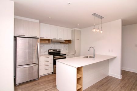 9675 Av. Papineau - Photo 2