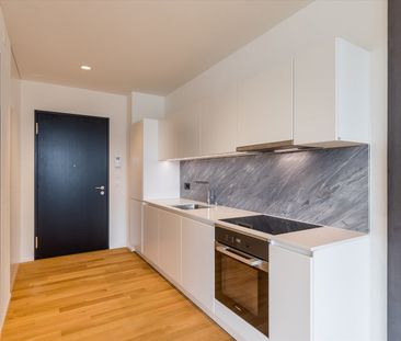 2 Zimmer, 48 m², 12. Stock - Photo 2