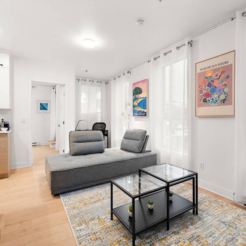 MP156 - Apartment Plateau Mont-Royal, Montreal - Photo 1