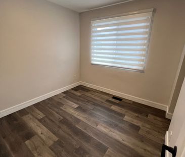 For Lease - 87 Walter Avenue Unit# MAIN, Newmarket, Ontario - Photo 3