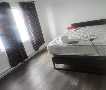 Chambres à louer - Photo 2