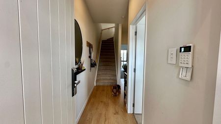 Pet friendly and ready to go! - Photo 4