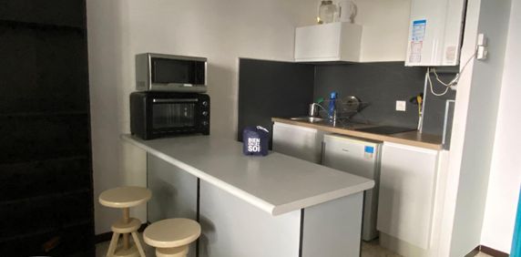 Location Appartement 1 pièce 25m² MONTPELLIER 34090 - Photo 2