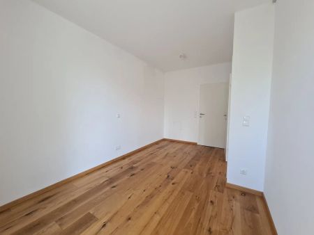 Exklusive 3-Zimmer Wohnung in Pitten! - Photo 2