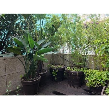 Apartamento T5 - Photo 1