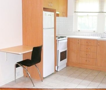 RENOVATED TO PERFECTION - OPPOSITE STRATHFIELD TRAIN STATION - Photo 6