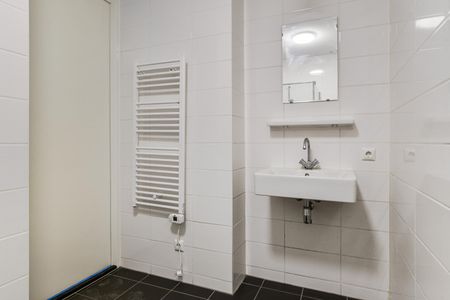 Te huur: Appartement Loevesteinlaan in Den Haag - Foto 3