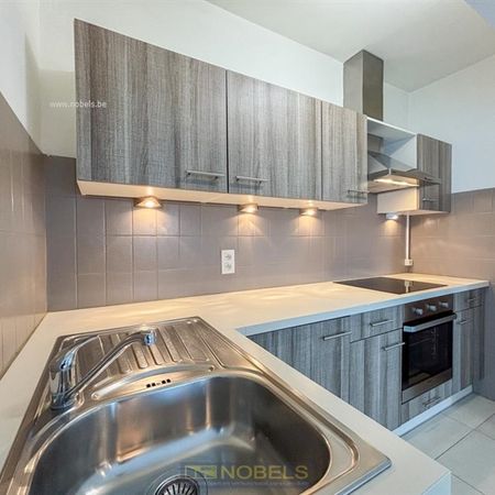 Te huur, energiezuinig 1 slaapkamer appartement nabij centrum Oudenaarde - Photo 3