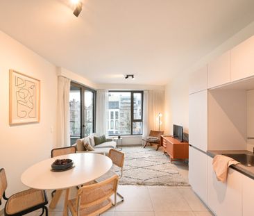 Mooi gemeubeld 1-slaapkamer appartement met terras - Foto 1