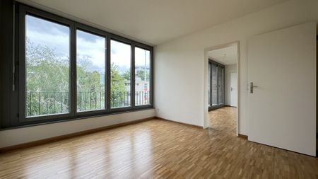 Wohnsiedlung "Obere Widen" im Grünen am Birsufer gelegen - Foto 2