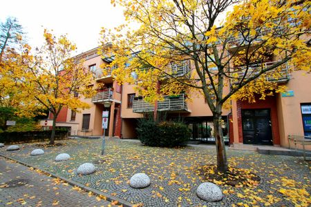 (Symbol 436321) MIESZKANIE na WYNAJEMSzczecin, Śródmieście-Centrum Dwupokojowe mieszkanie z balkonem, duże - 60 m2! - Photo 5