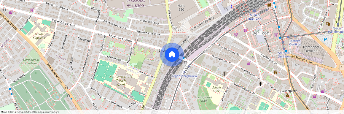 Regensbergstrasse 175, 8050, Zürich, Regensbergstrasse 175, Zurich