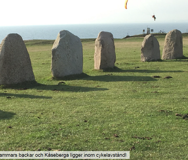 Peppingevägen, Löderup - Foto 4