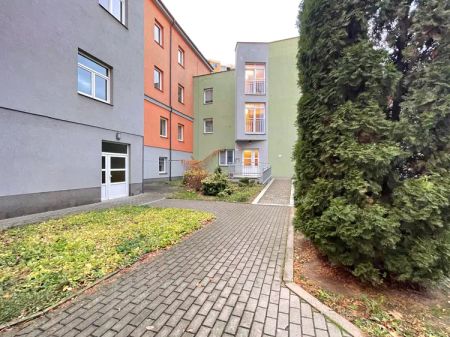Pronájem, byt 1+1, 31,4 m - Photo 3