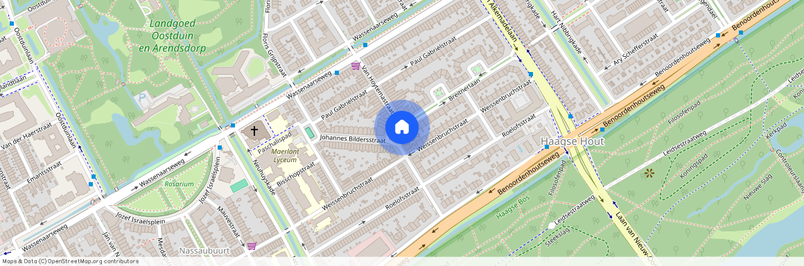 Van Hoytemastraat en omgeving, 2596 EN, Van Hoytemastraat, Den Haag