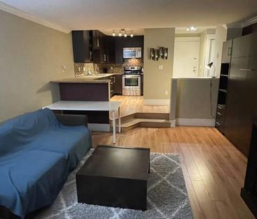 Furnished Bachelor Studio -VGH Great Location! - Photo 4