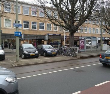 Anton de Haenstraat - Foto 4