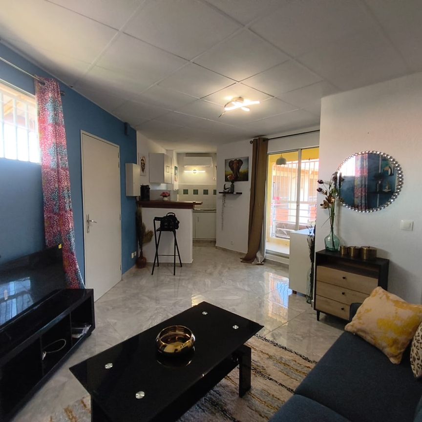 Location Appartement 1 pièce 24m² CAYENNE 97300 - Photo 1