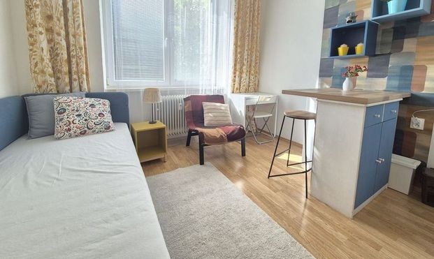 Útulná garsónka neďaleko Račianskeho mýta, výborná lokalita! - Fotografia 1