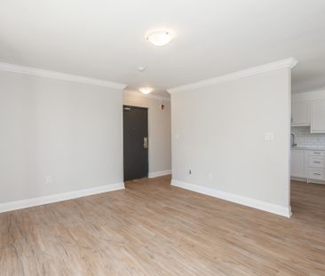 Spacious 1 Bedroom Apartment in Welland - Photo 1