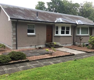 2 bedroom bungalow to rent - Photo 4