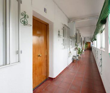 Madrid - Photo 2