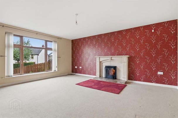 9 Drummond Park, Ballynahinch, BT24 8GE - Photo 1