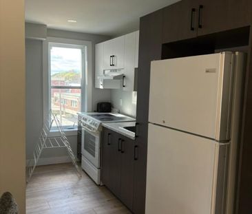 Logements 1 1/2 tout inclus - Photo 3