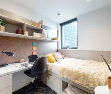 Bronze Ensuite Lower Level - Photo 4