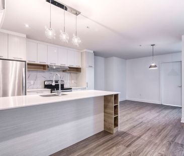 9675 Av. Papineau - Photo 4