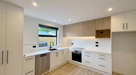 Near New Gem - Photo 4