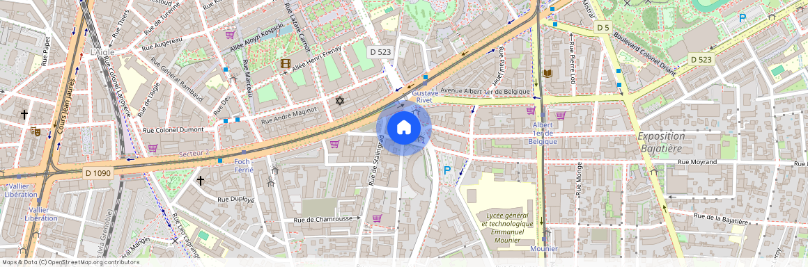 80 Rue Mallifaud, Grenoble
