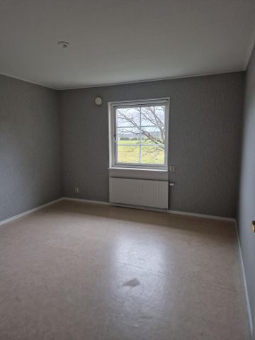 Kolja F, Rinkaby - Photo 4