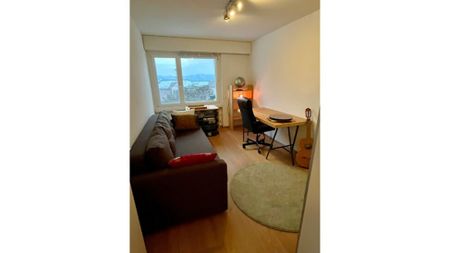 4½ Zimmer-Wohnung in Küsnacht (ZH), möbliert - Photo 4