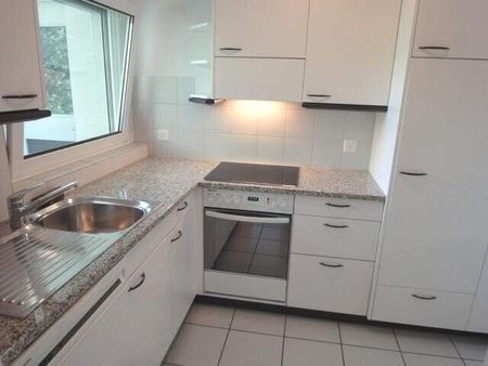 Living next to the Schüssinsel – Vivre près de l’île de la Suze - Foto 5