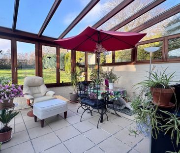 Maison - à louer - 1331 Rixensart - 1.850 € - Foto 4