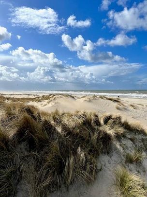 Spreeuwenlaan, 2566ZR, Den Haag - Photo 1