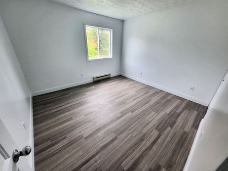 Appartement 4 ½ rénové à louer – Sherbrooke, Secteur Université & Mont-Bellevue - Photo 4