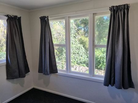 Ranui. All Dressed Up - Photo 5