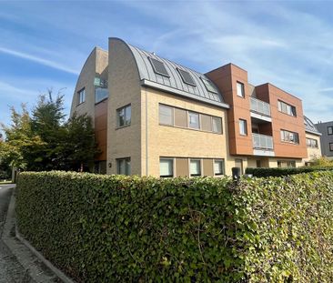 Appartement te huur in Sint-Niklaas - Photo 4